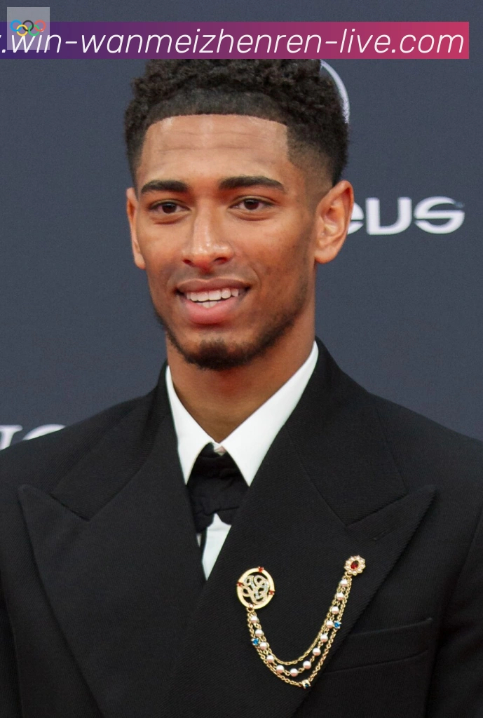 维尼修斯